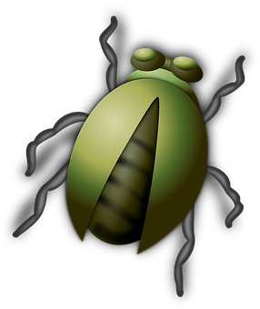Stylized Green Beetle Illustration PNG with transparent background