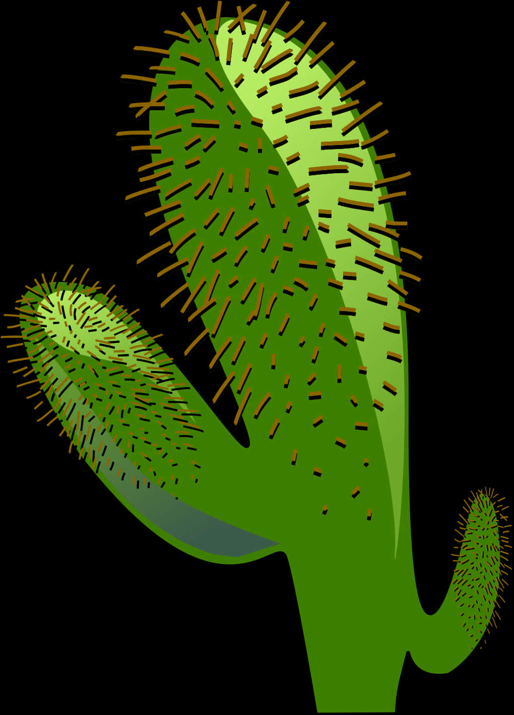 Stylized Green Cactus Illustration PNG with transparent background