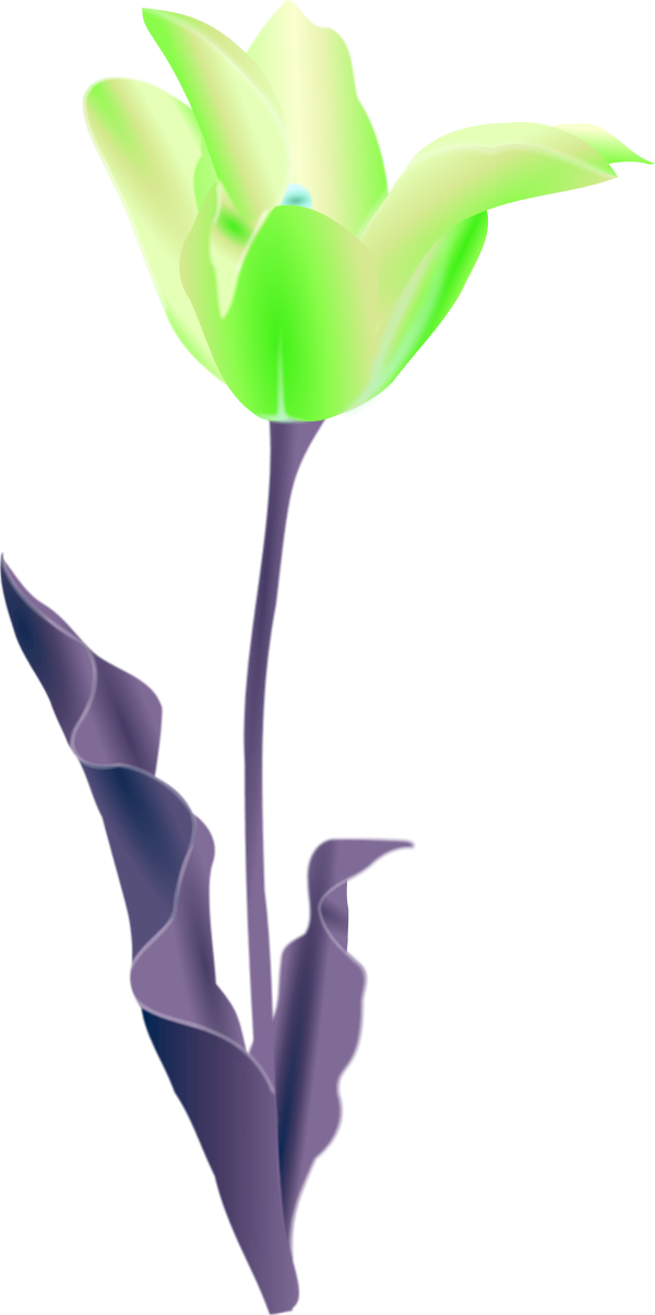 Stylized Green Flower Illustration