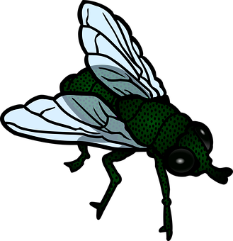 Stylized Green Fly Illustration