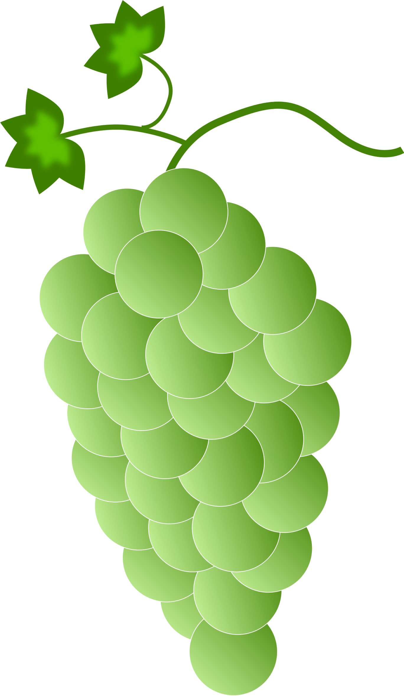 Stylized Green Grape Cluster Vector