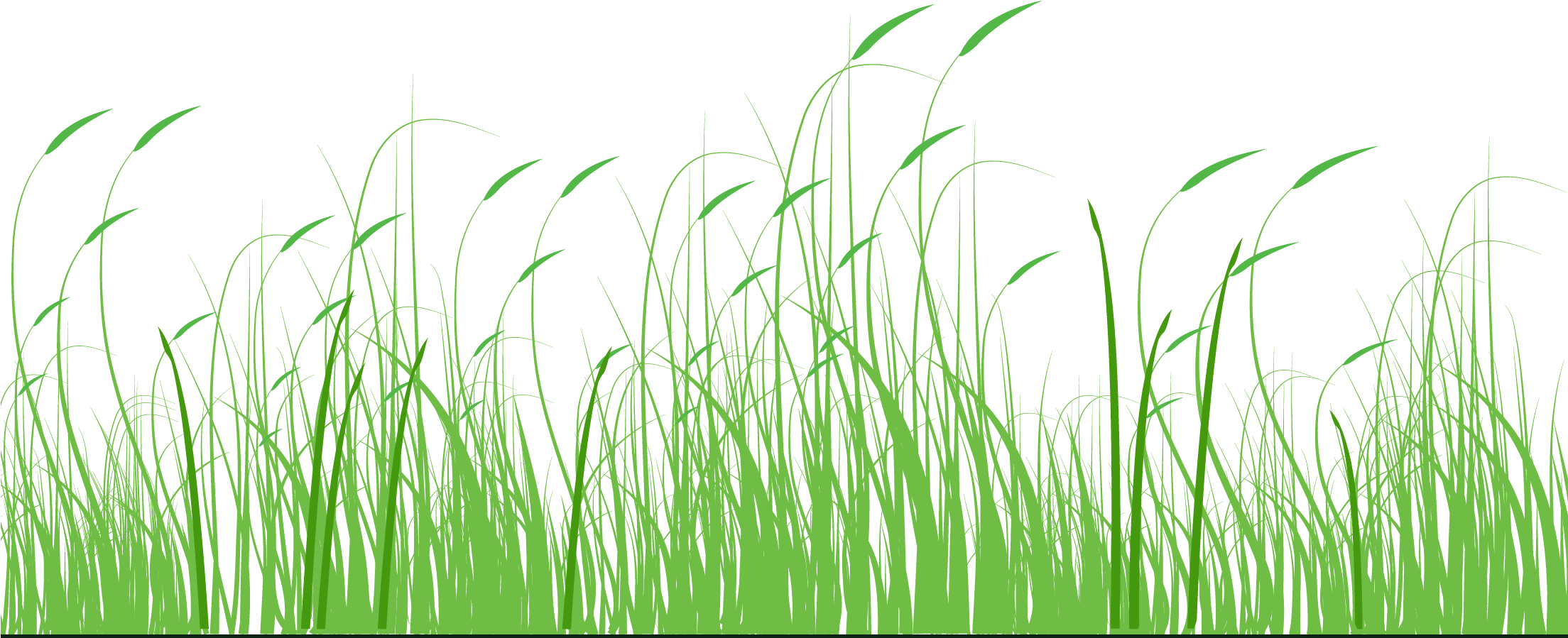 Clip Black And White Library Nature Transparent Meadow - Dogs And Flowers Clipart, HD Png Download PNG with transparent background
