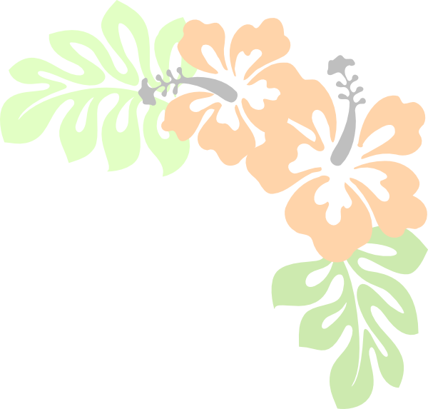 Stylized Hibiscus Floral Design PNG with transparent background