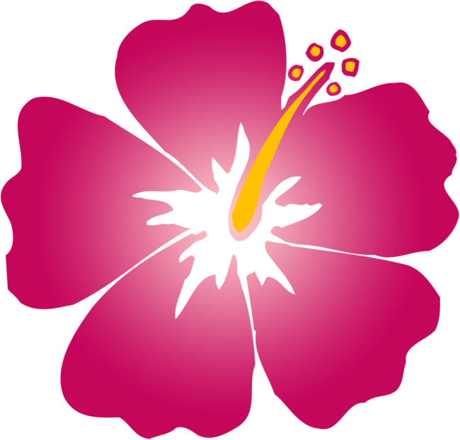 Stylized Hibiscus Flower Illustration PNG with transparent background