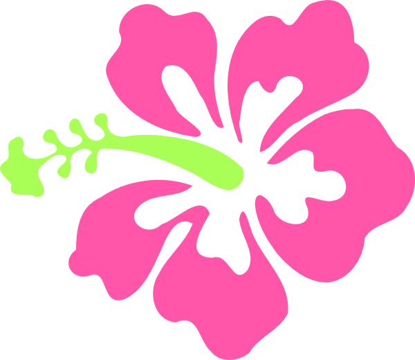 Stylized Hibiscus Graphic PNG with transparent background