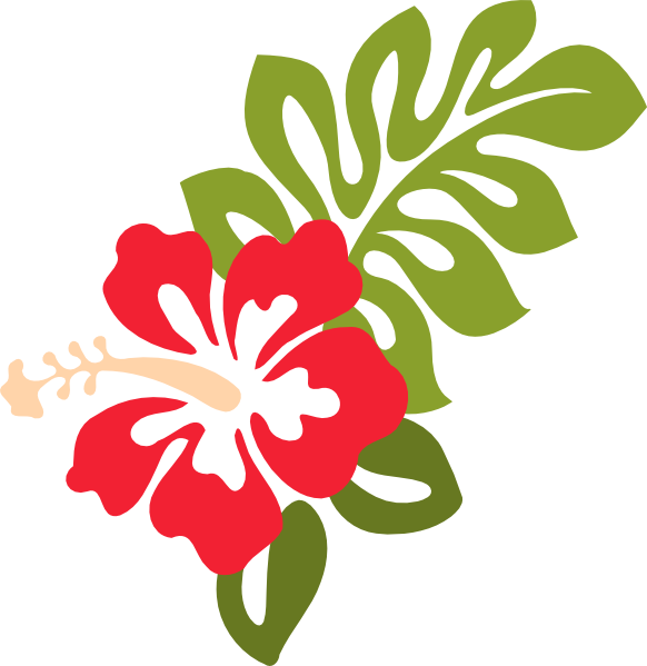 Stylized Hibiscus Graphic PNG with transparent background