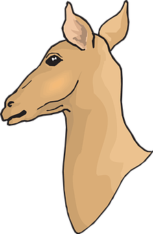 Stylized Horse Head Illustration