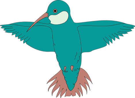 Stylized Hummingbird Illustration PNG with transparent background