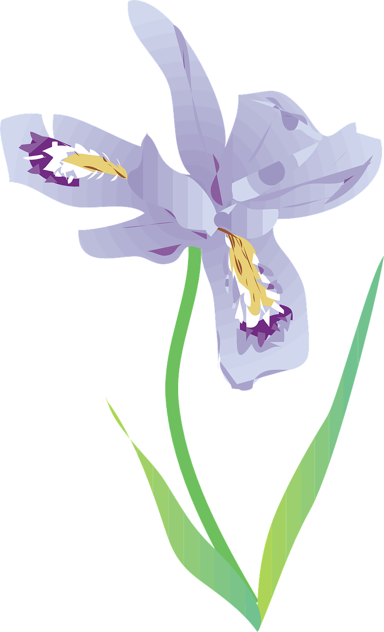Clip Art, HD Png Download PNG with transparent background