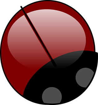 Stylized Ladybug Graphic PNG with transparent background