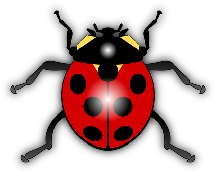 Stylized Ladybug Illustration