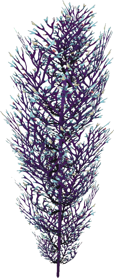 Stylized Lavender Sprig