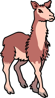 Stylized Llama Illustration