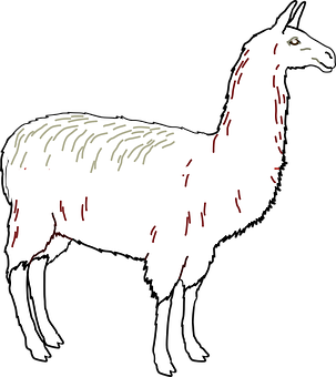 Stylized Llama Illustration