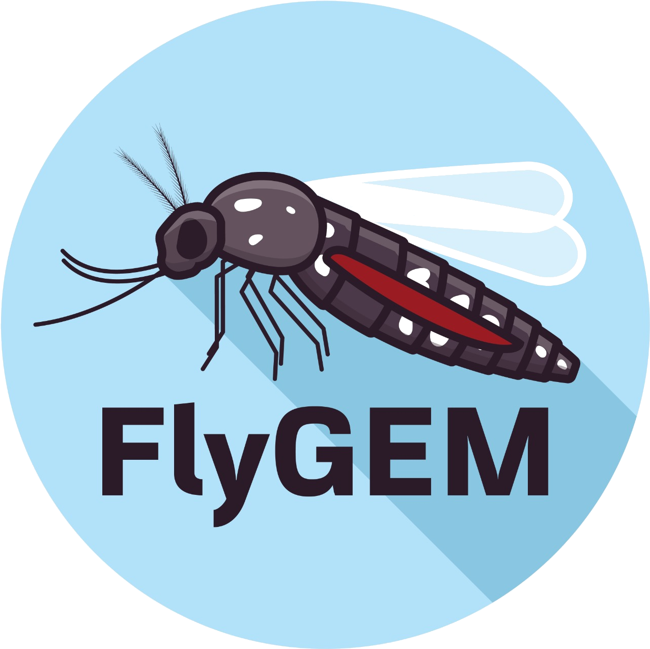 Mosquito, HD Png Download PNG with transparent background