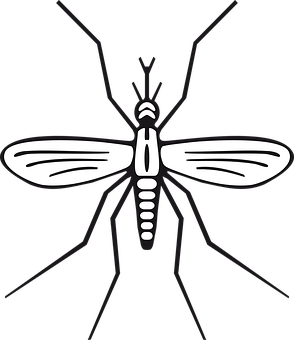 Stylized Mosquito Illustration PNG with transparent background