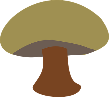 Stylized Mushroom Graphic PNG with transparent background