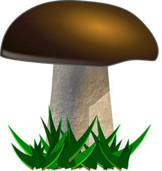 Stylized Mushroom Graphic PNG with transparent background