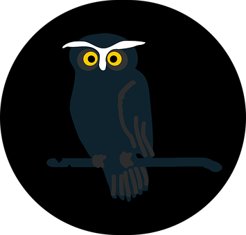 Stylized Night Owl Graphic PNG with transparent background