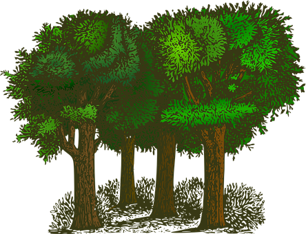 Stylized Nighttime Forest Illustration PNG with transparent background