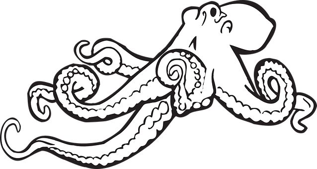 Stylized Octopus Graphic PNG with transparent background