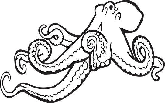 Stylized Octopus Graphic PNG with transparent background