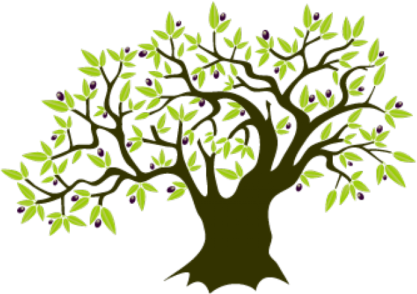 Olive Branch Download Free Clipart With A Transparent - Olive Tree Clipart Png, Png Download PNG with transparent background