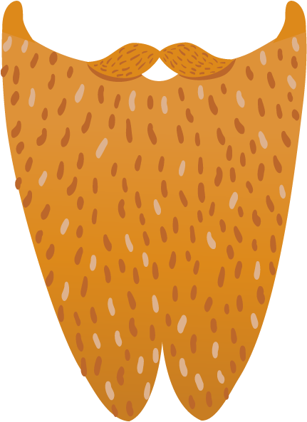 Leprechaun Beard Png - Zz Top Beard Png PNG image with a transparent background, free high-resolution download