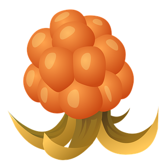 Stylized Orange Cluster Illustration PNG with transparent background