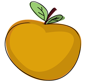 Stylized Orange Fruit Illustration PNG with transparent background