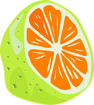 Stylized Orange Slice Illustration PNG with transparent background