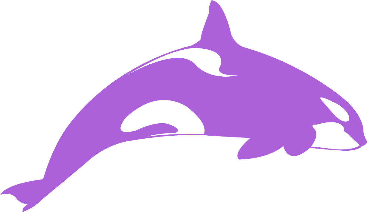 Stylized Orca Graphic