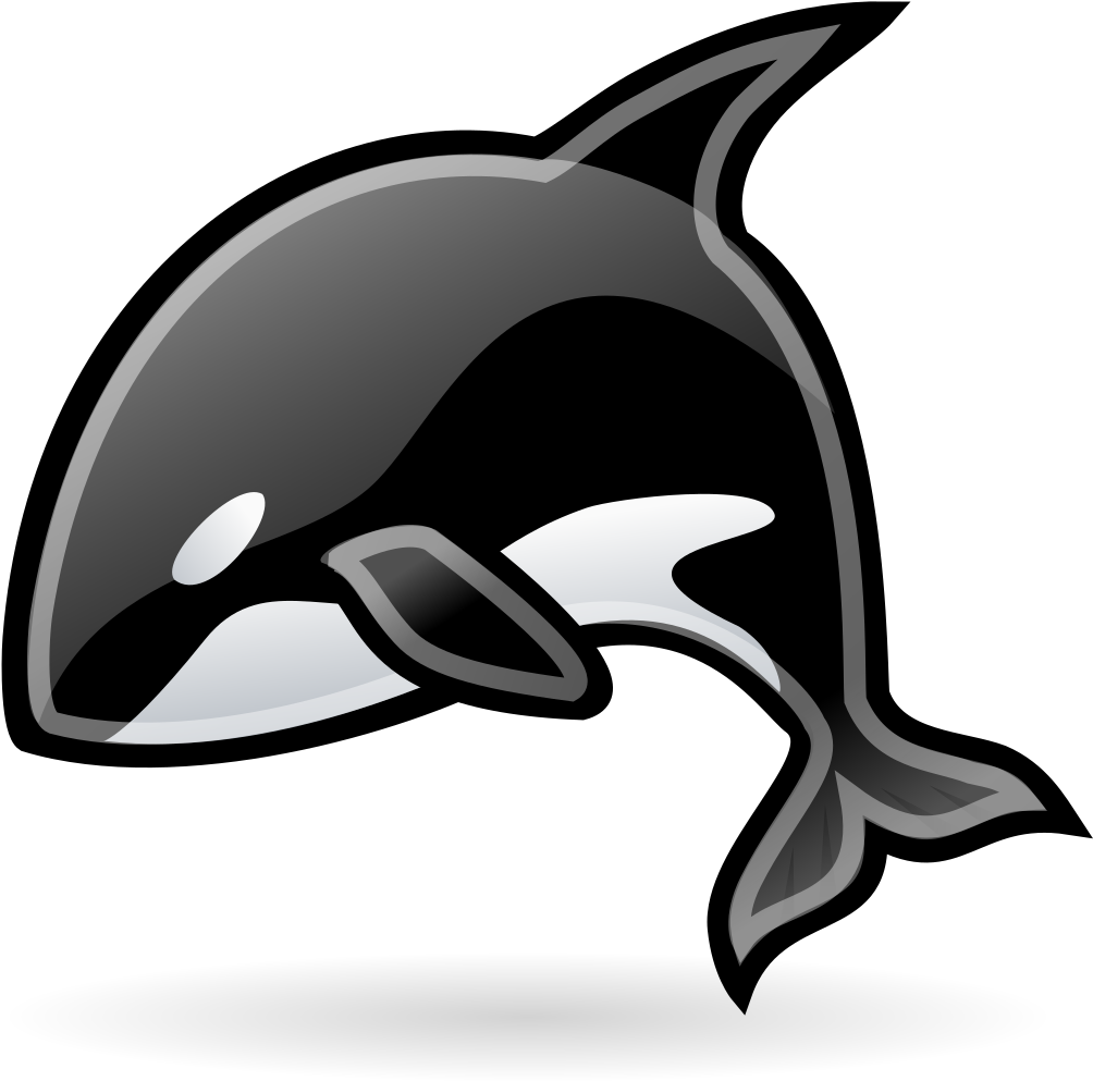 Stylized Orca Illustration