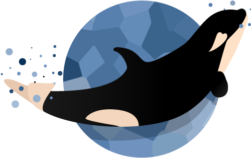Happy Baby Orca Illustration Vector Whale Orca Baby - Vector Orca Art Png, Transparent Png PNG image with a transparent background, free high-resolution download