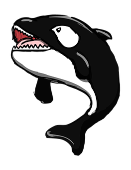 Stylized Orca Illustration