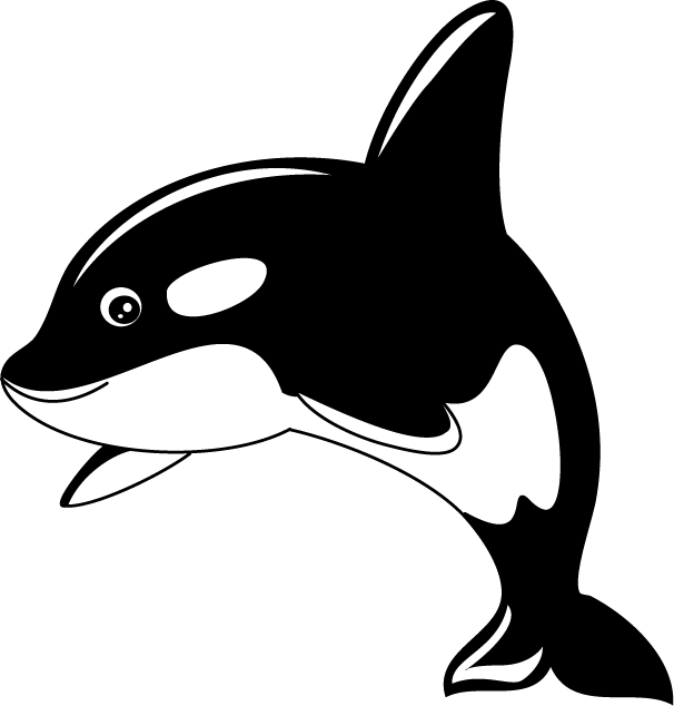 Stylized Orca Illustration