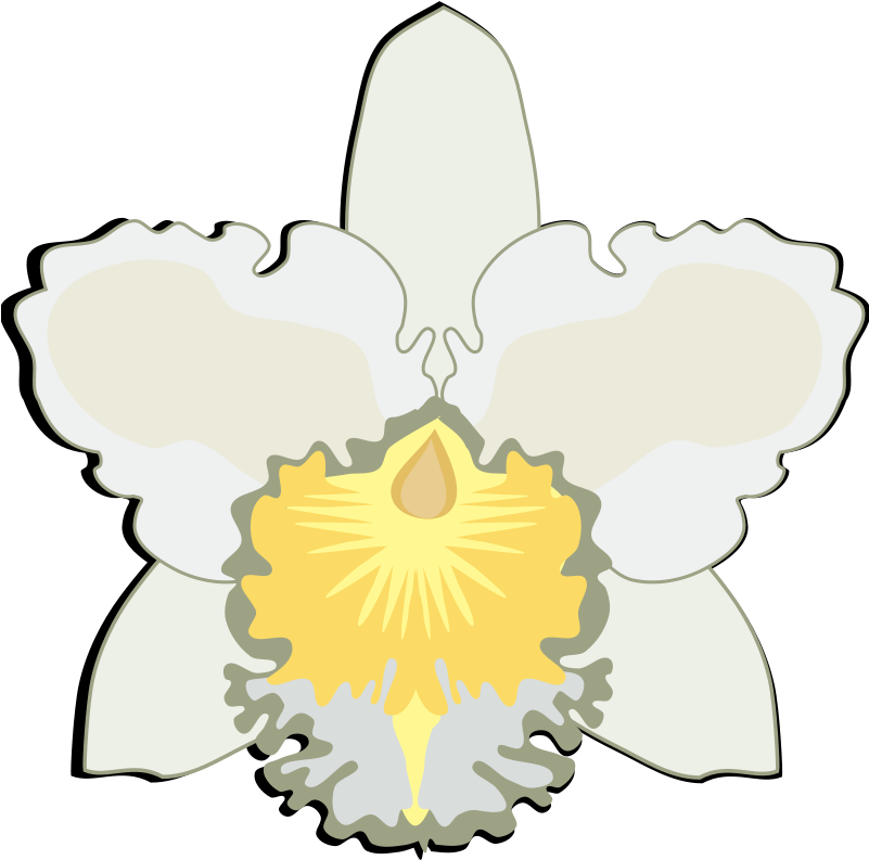 Christmas Orchid, HD Png Download PNG with transparent background