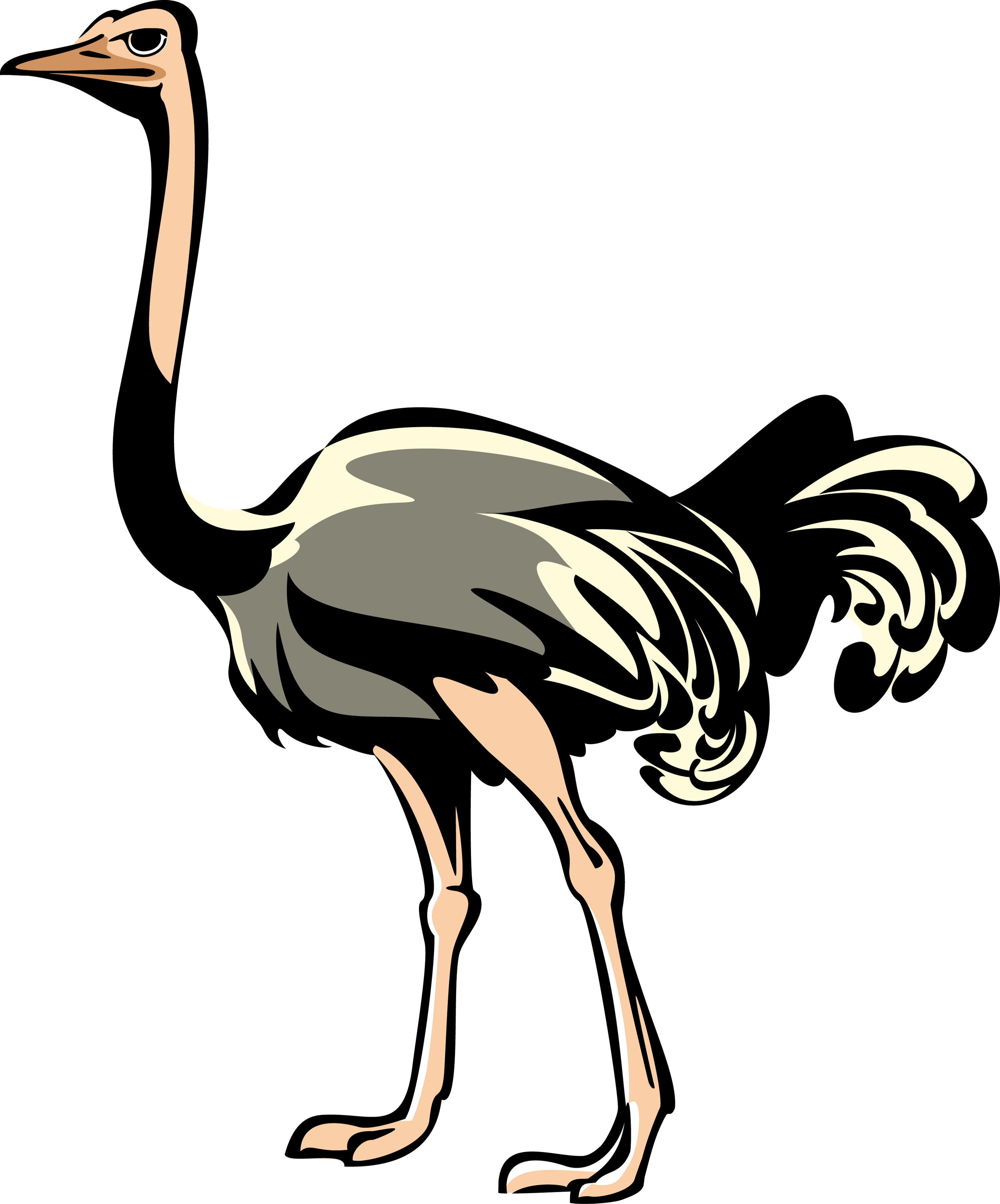 Stylized Ostrich Illustration