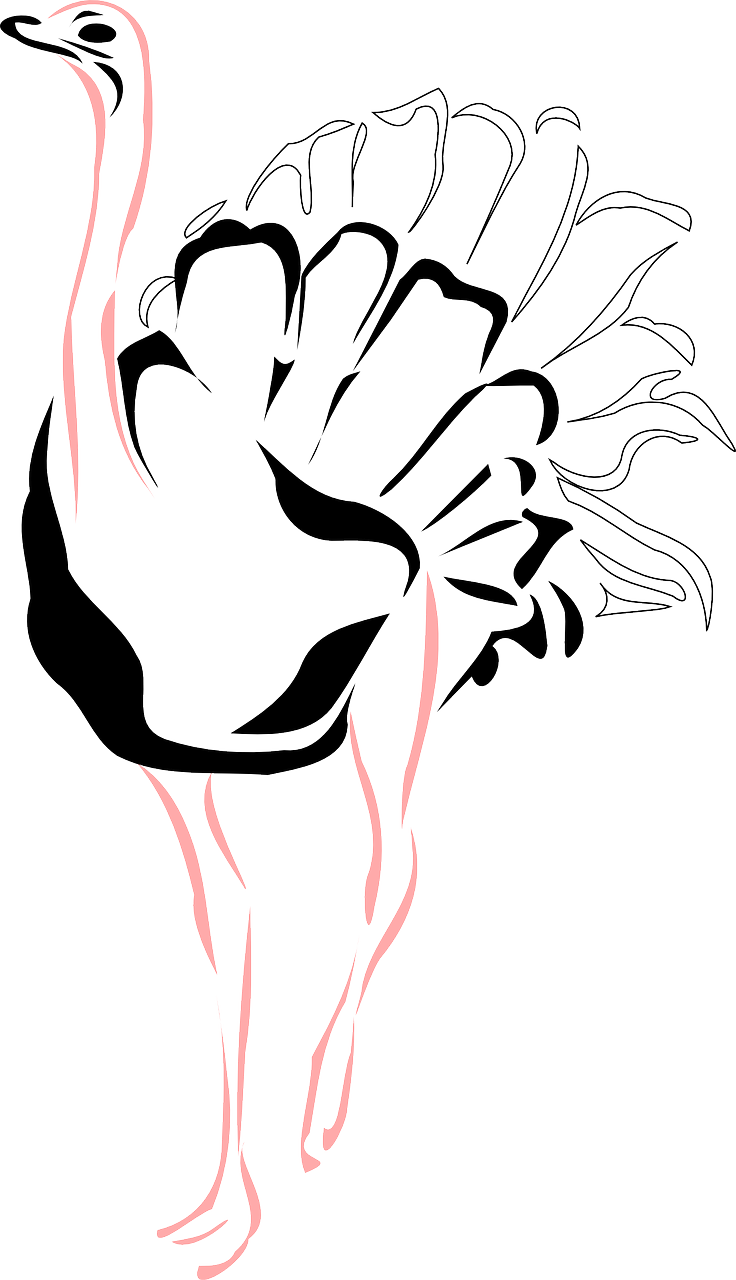 Stylized Ostrich Silhouette