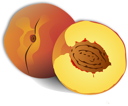 Stylized Peachand Half Illustration PNG with transparent background