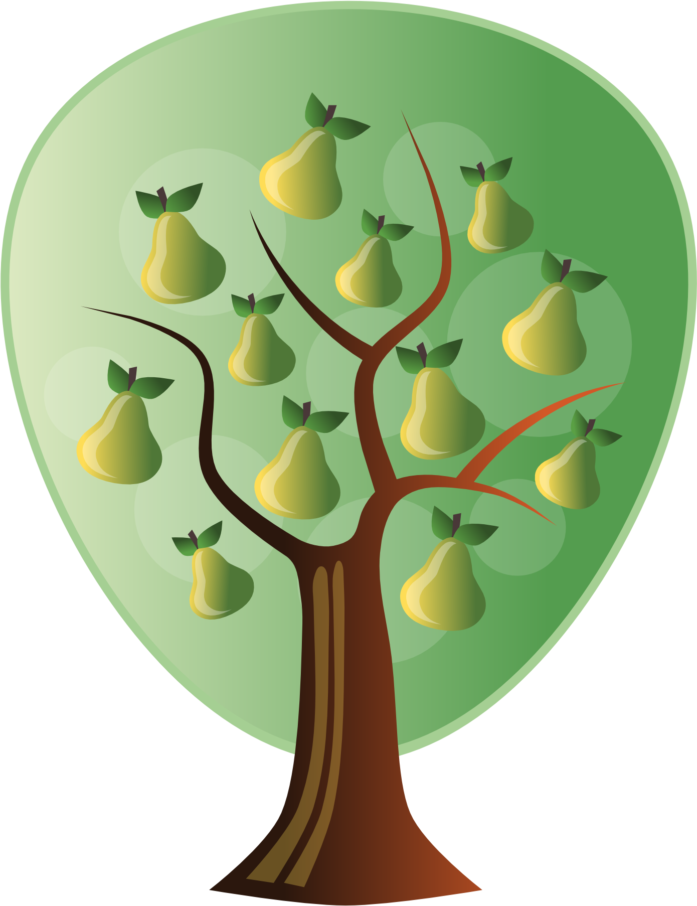 Pear Tree Clipart Hd, HD Png Download PNG with transparent background