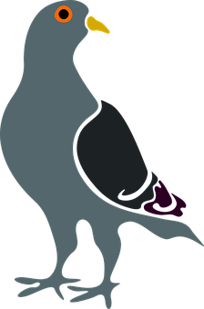 Stylized Pigeon Graphic PNG with transparent background