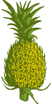 Stylized Pineapple Graphic PNG with transparent background