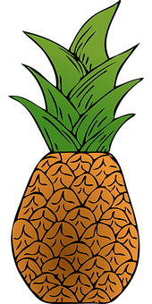 Stylized Pineapple Illustration PNG with transparent background