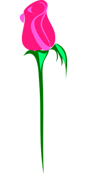 Stylized Pink Rose Graphic PNG with transparent background