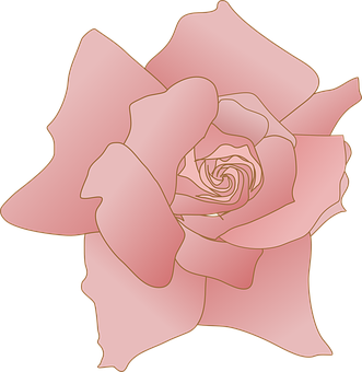 Stylized Pink Rose Illustration PNG with transparent background