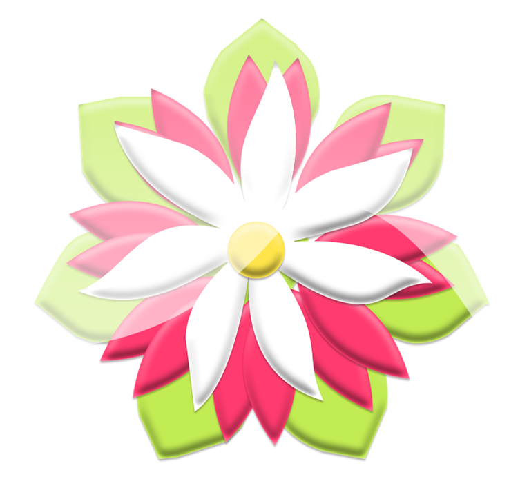 Stylized Pinkand White Flower Illustration