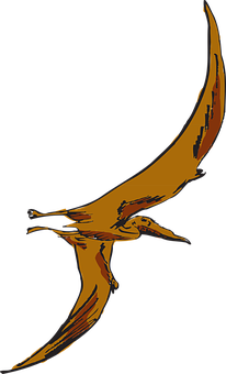 Stylized Pterosaur Illustration PNG with transparent background