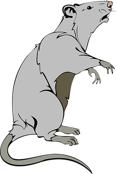 Stylized Rat Illustration PNG with transparent background