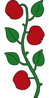 Stylized Red Flowerson Vine PNG with transparent background